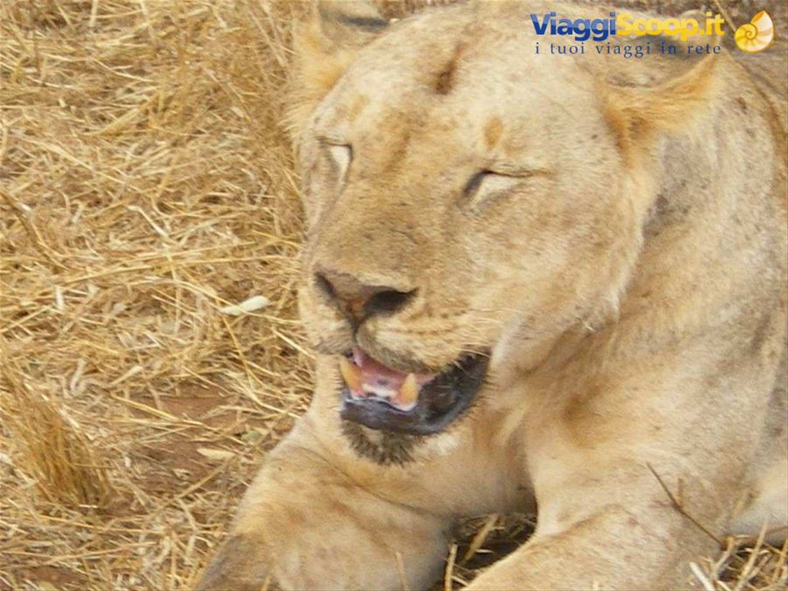 Foto di viaggio in KENYA