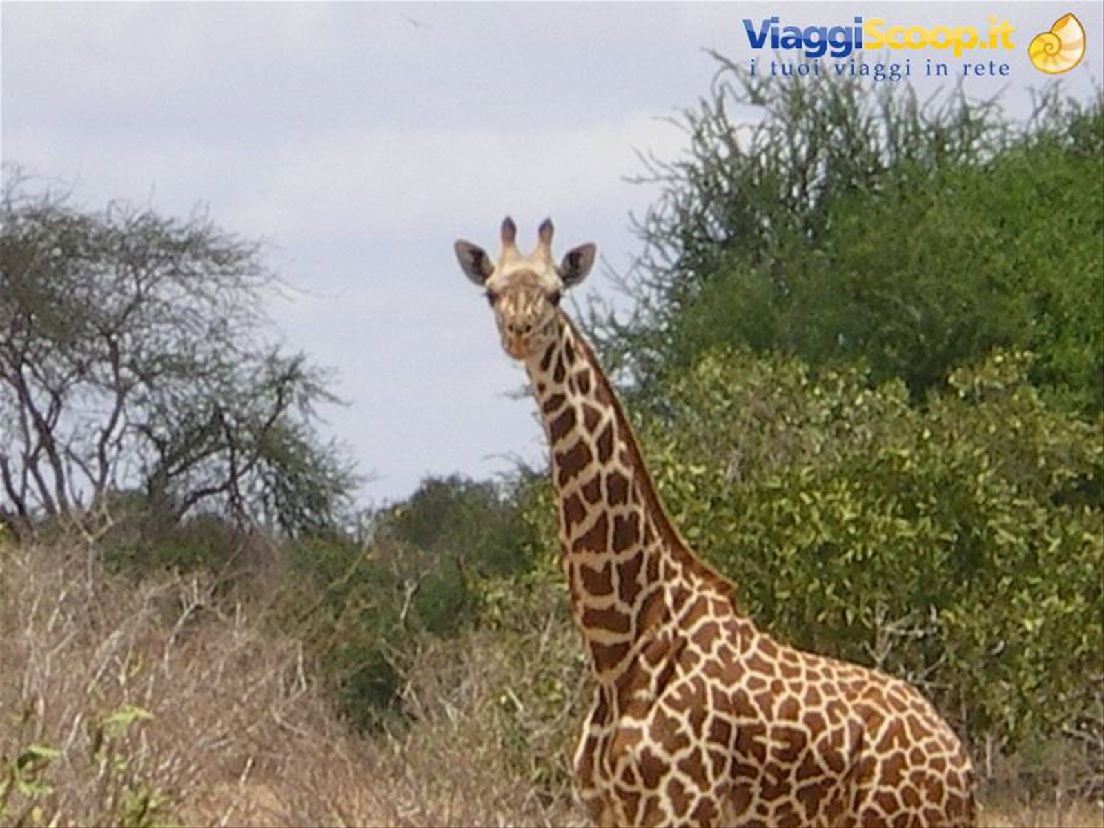 Foto di viaggio in KENYA
