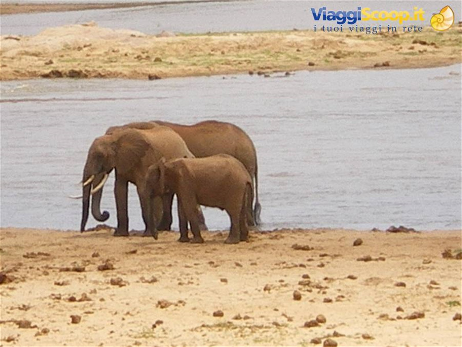 Foto di viaggio in KENYA