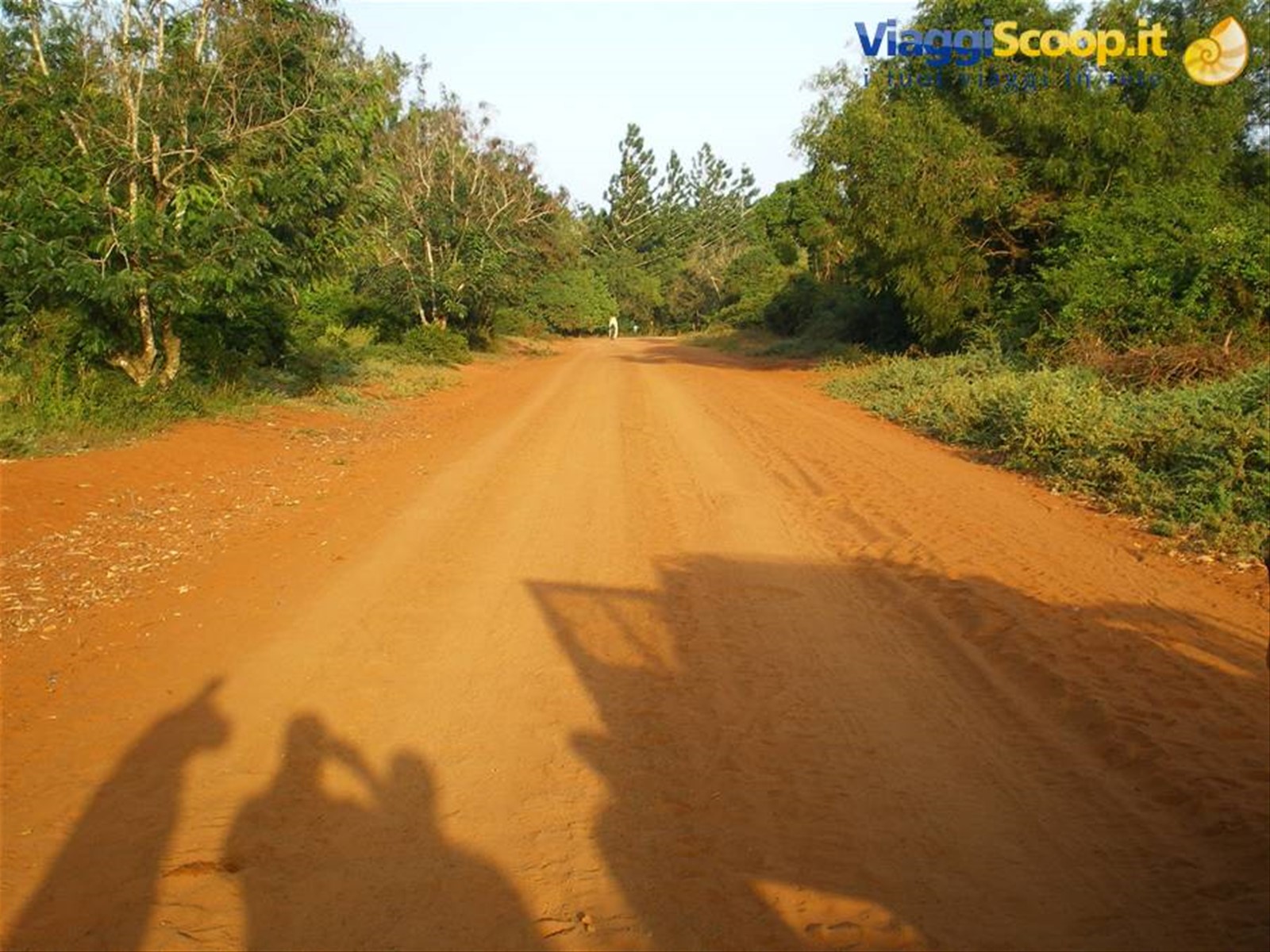 Foto di viaggio in KENYA