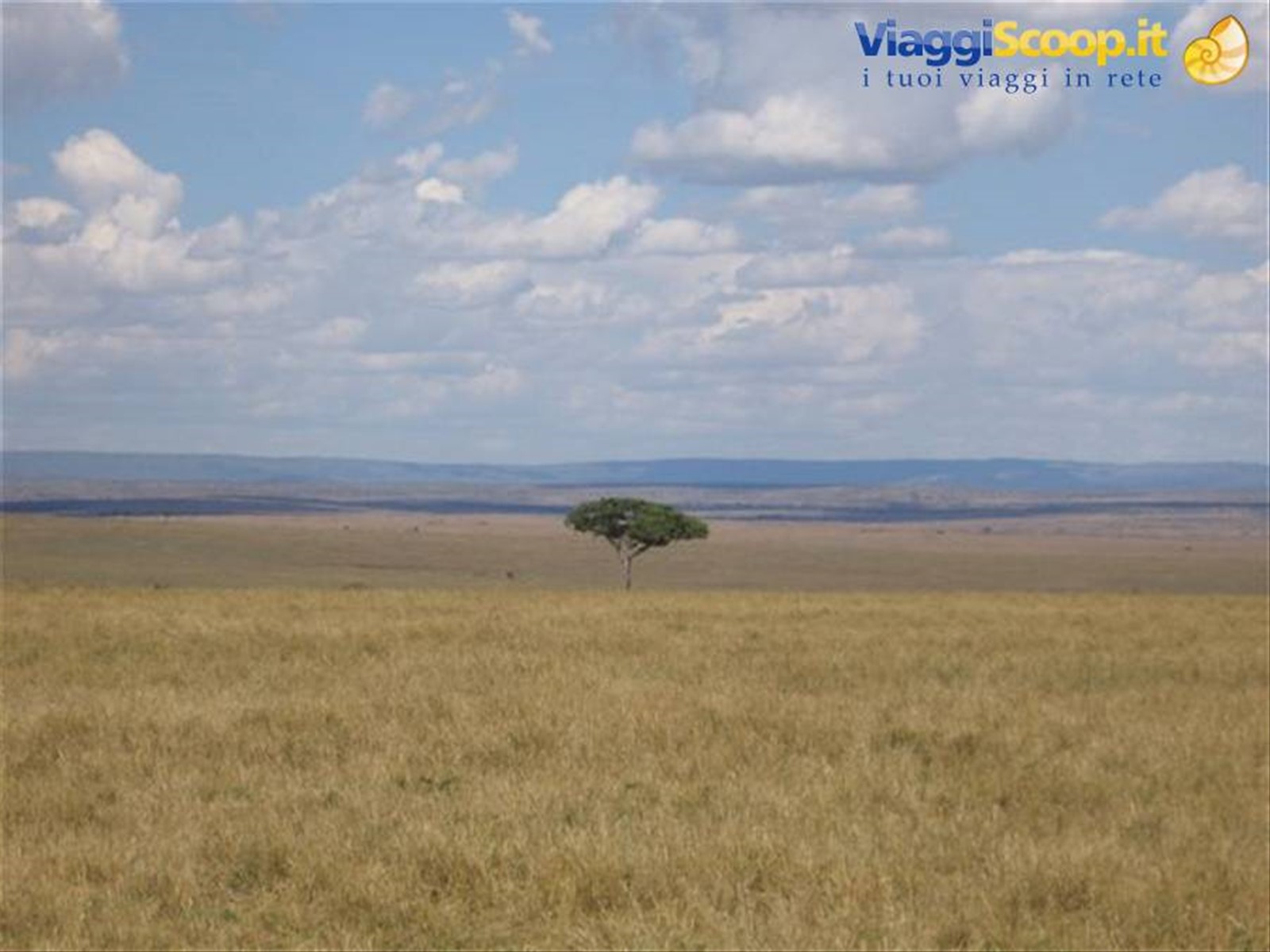 Paesaggio Parco Masai Mara