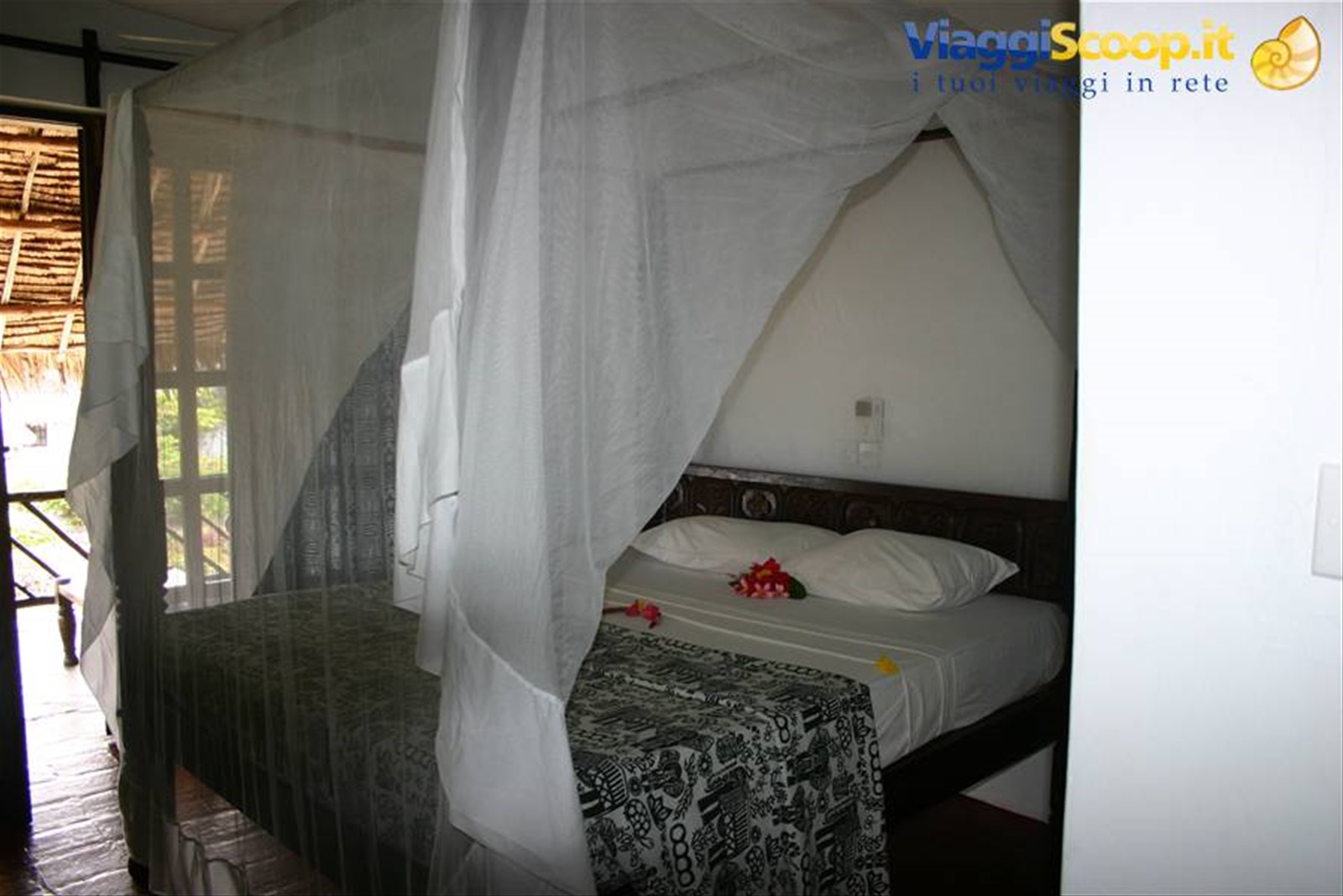 Camera Standard
