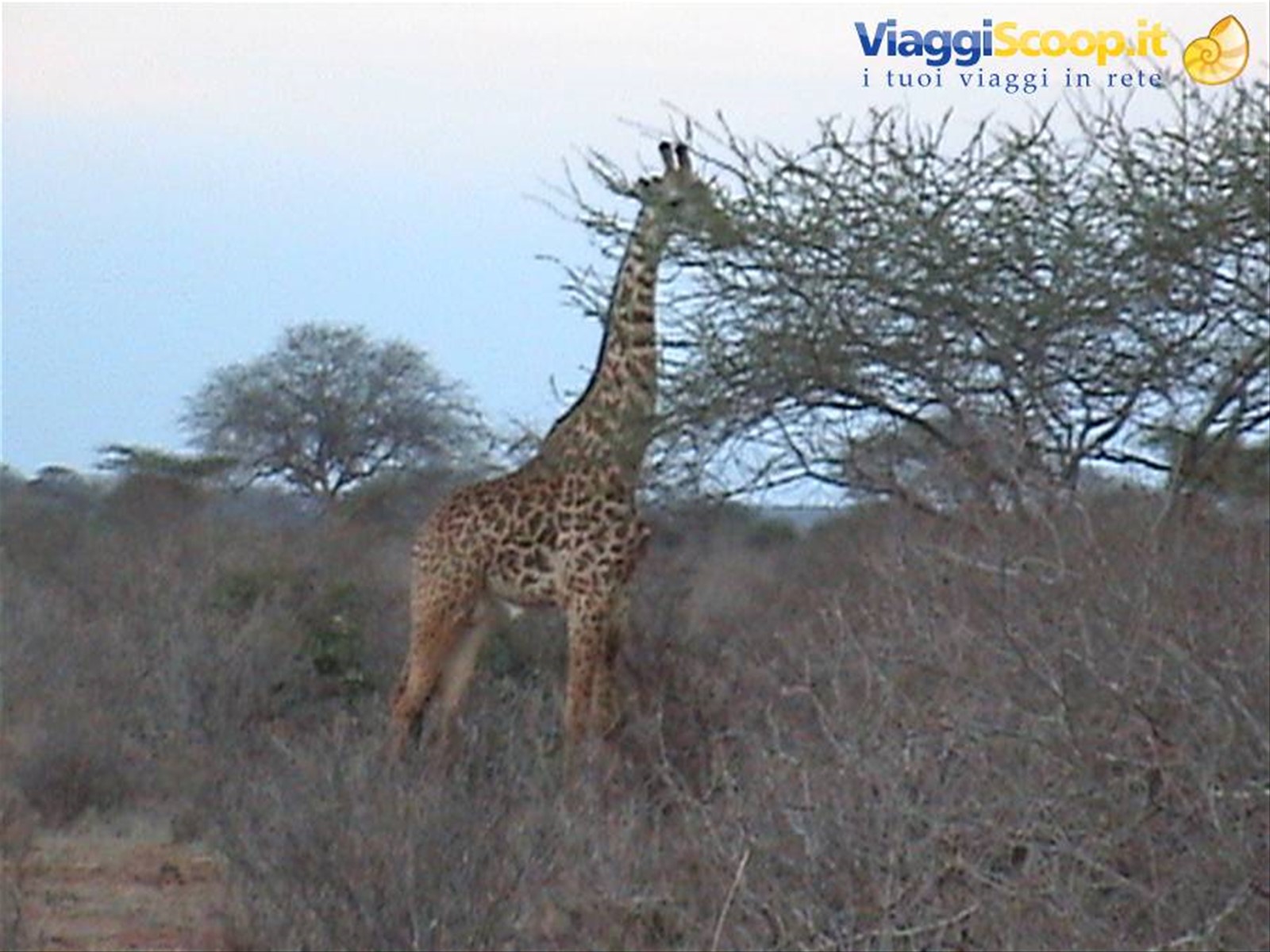 Foto di viaggio in KENYA