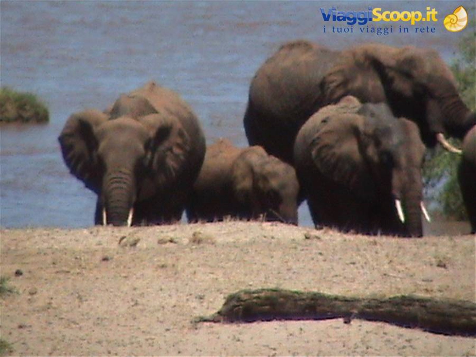 Foto di viaggio in KENYA