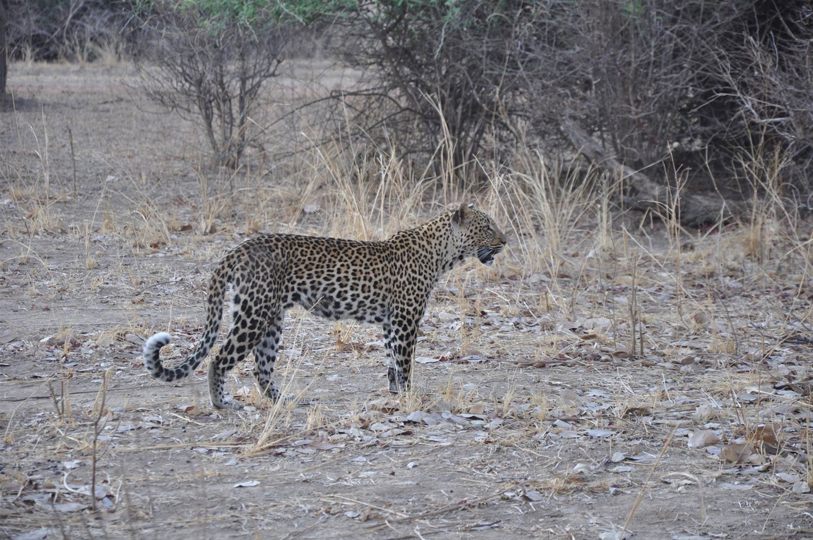 South Lwangwe National Park