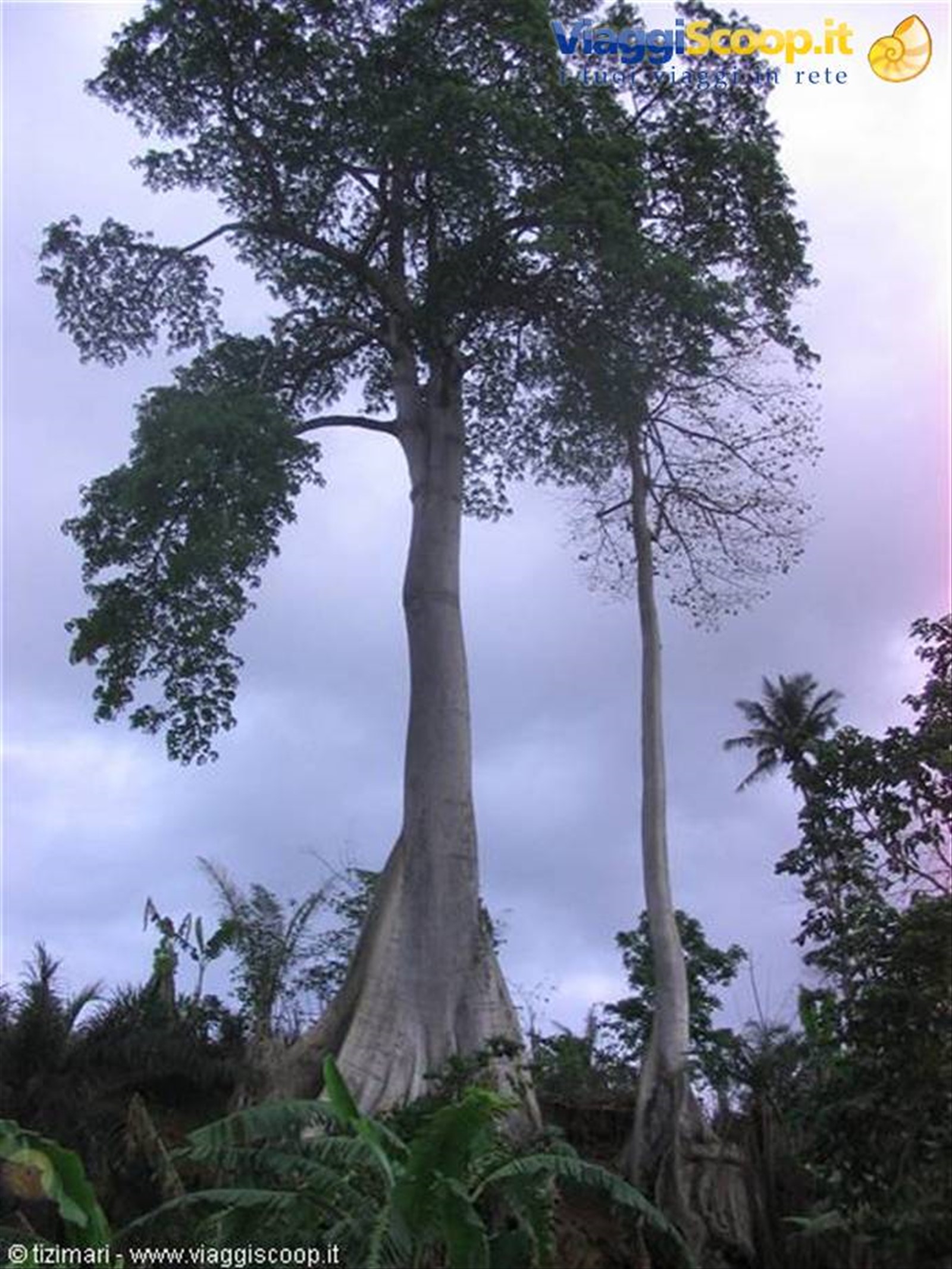 Foto di viaggio in ANGOLA