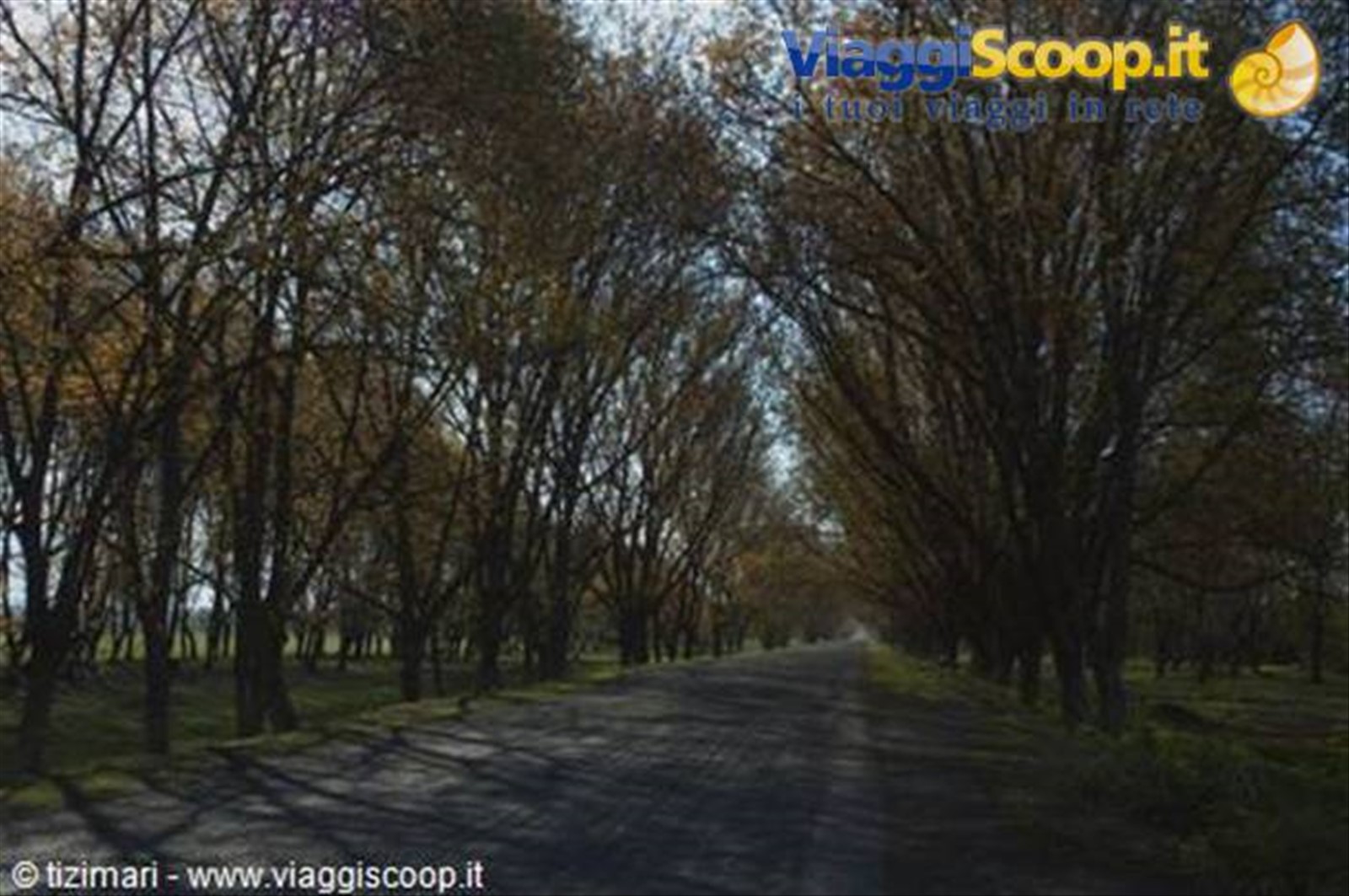 campagna azera