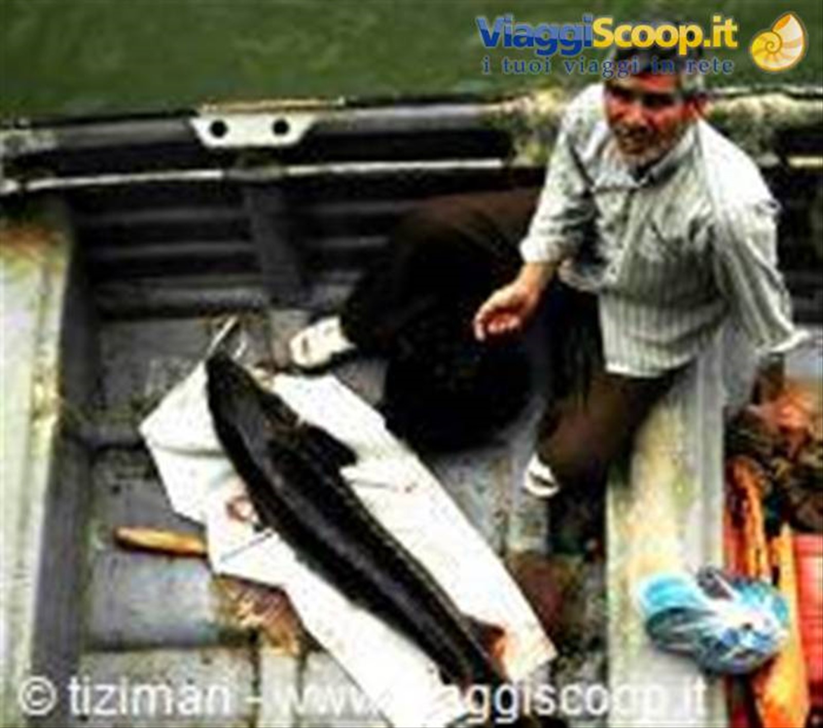 Pesca allo storione