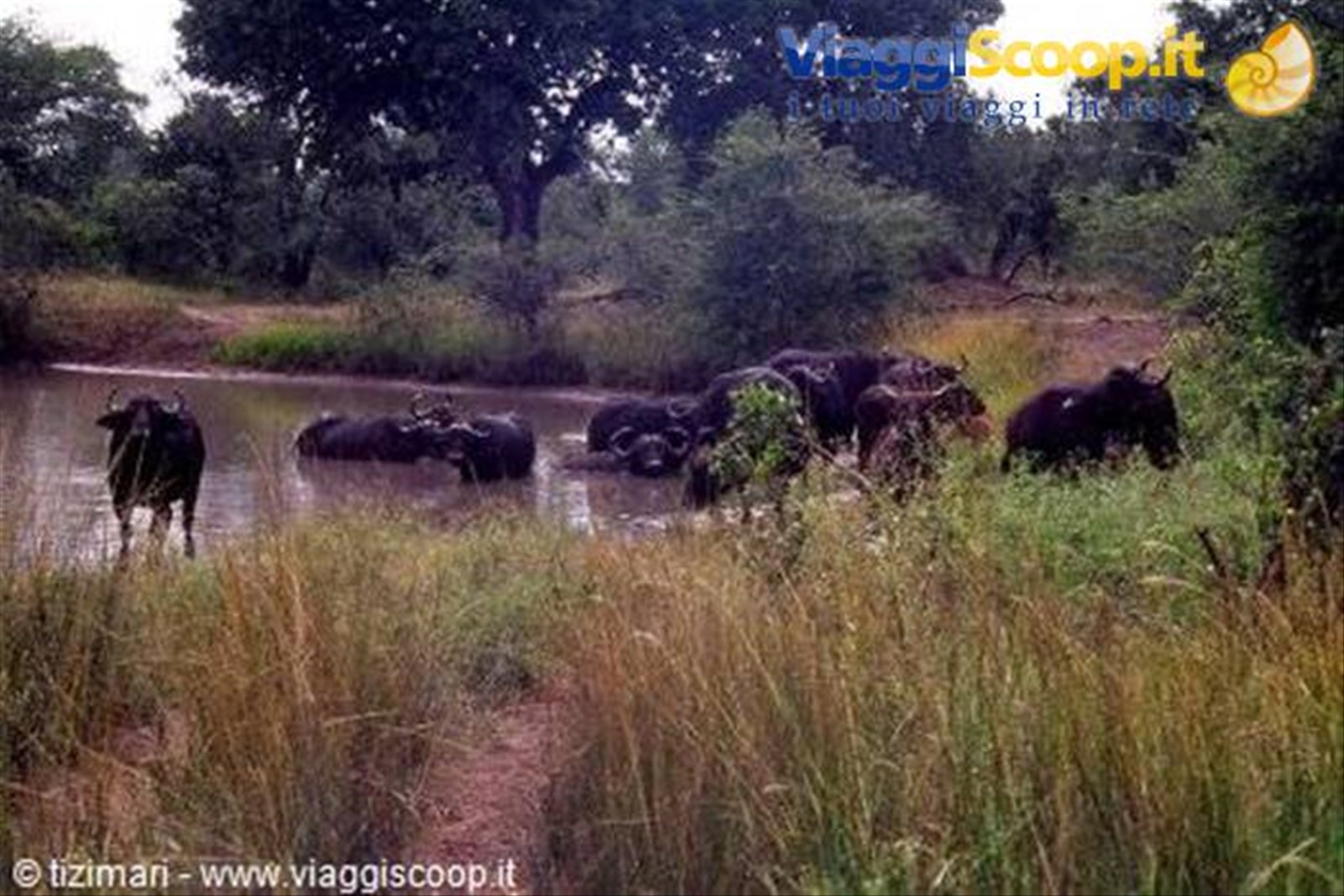Foto di viaggio in SWAZILAND