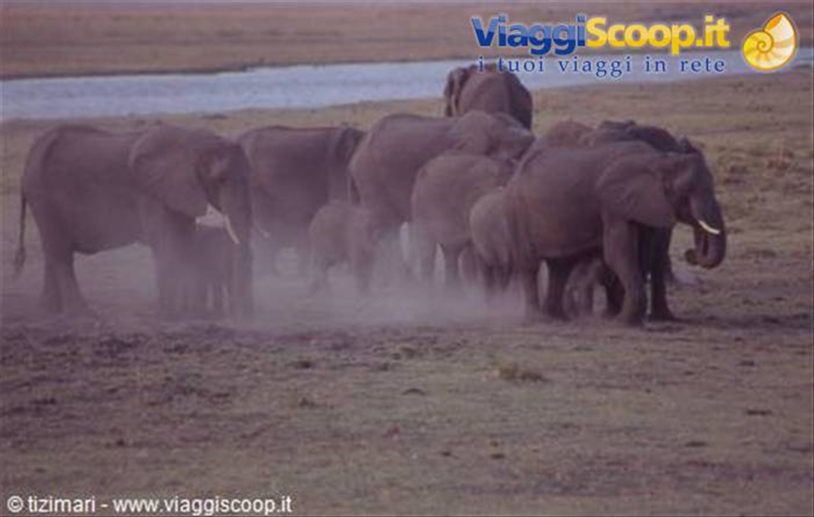 Foto di viaggio in BOTSWANA