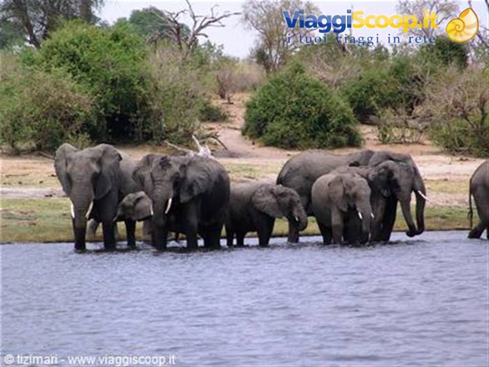 Chobe