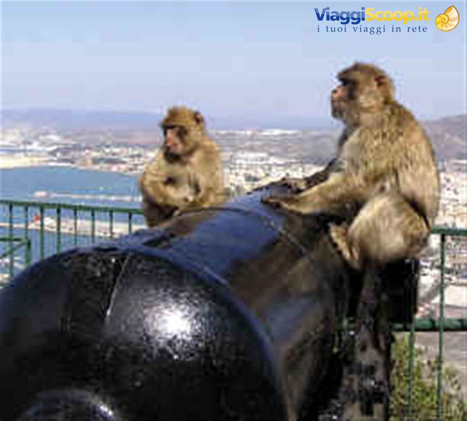 Foto di viaggio in GIBILTERRA