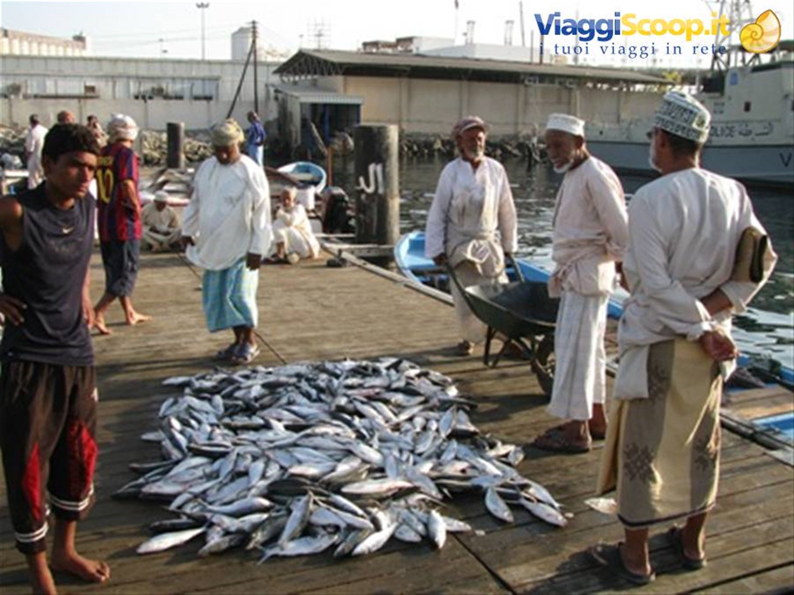 Muttrah, mercato del pesce