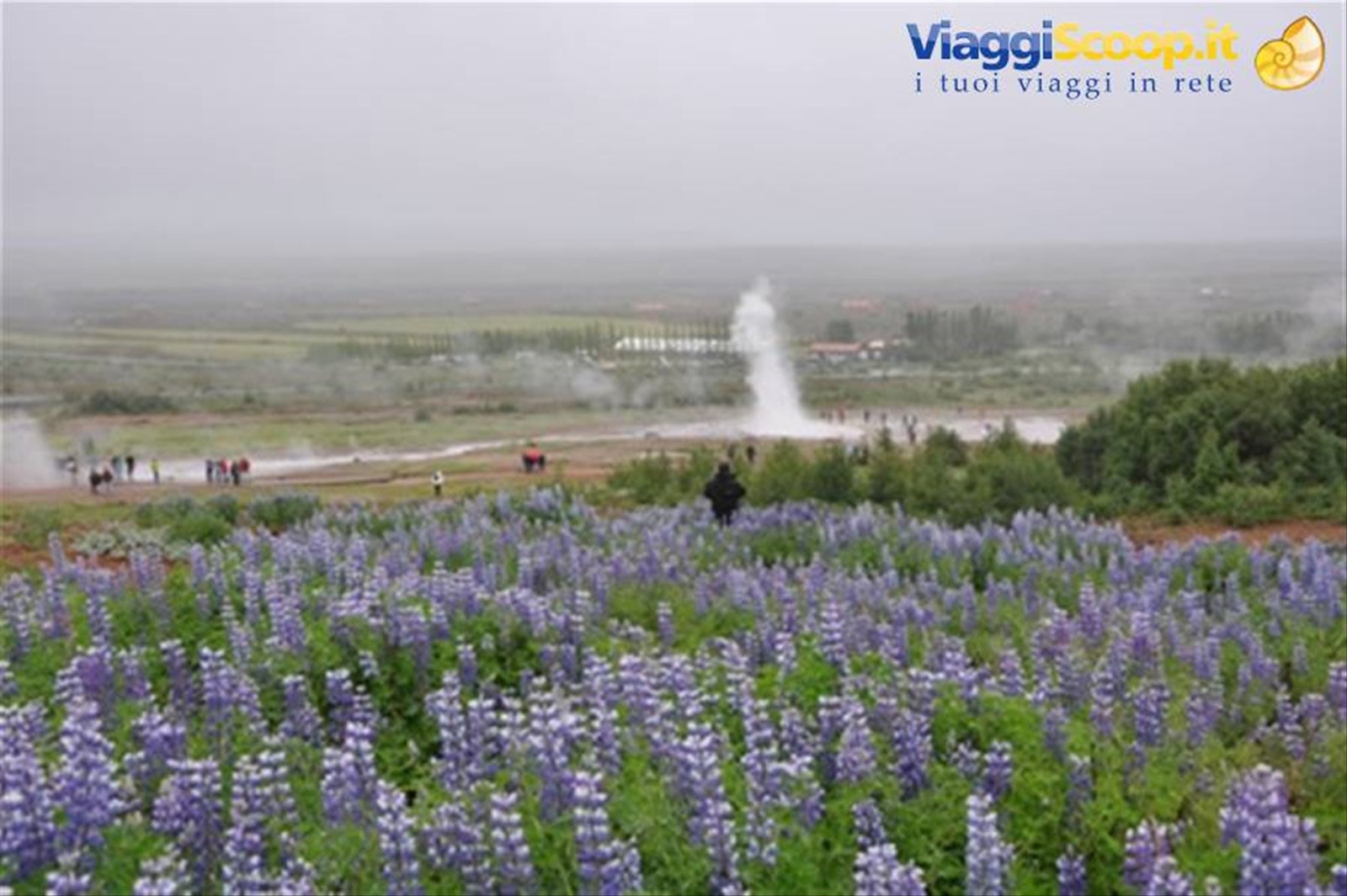 Geyser Strokkur