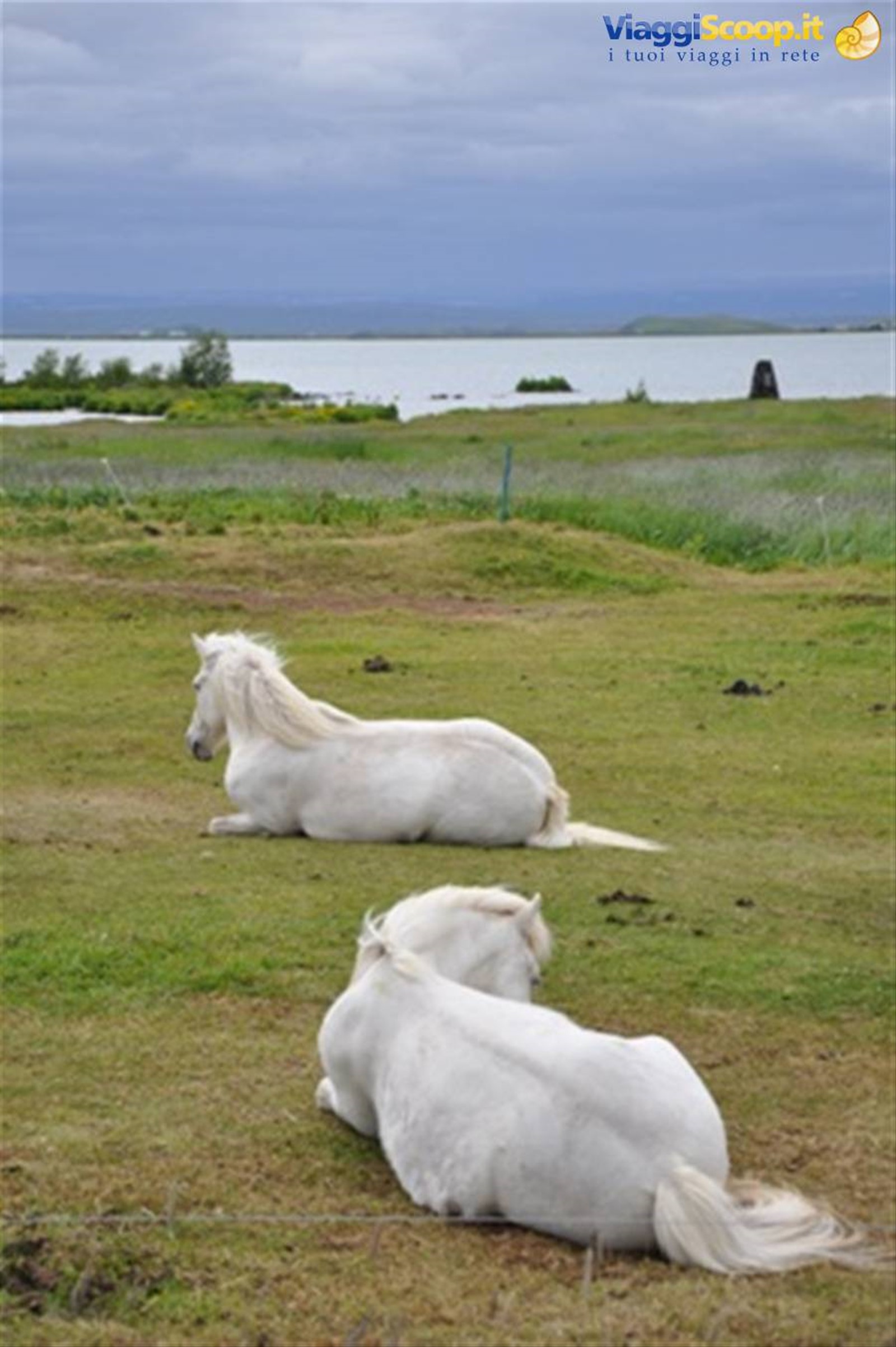 Myvatn