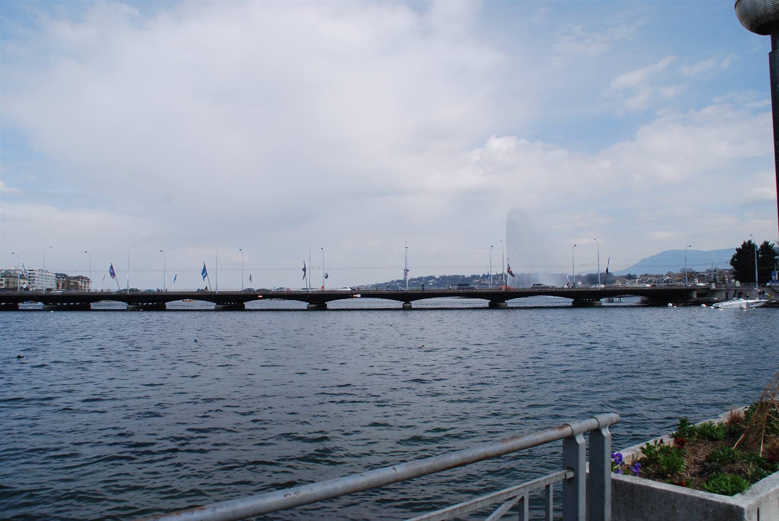 Il lungo-lago