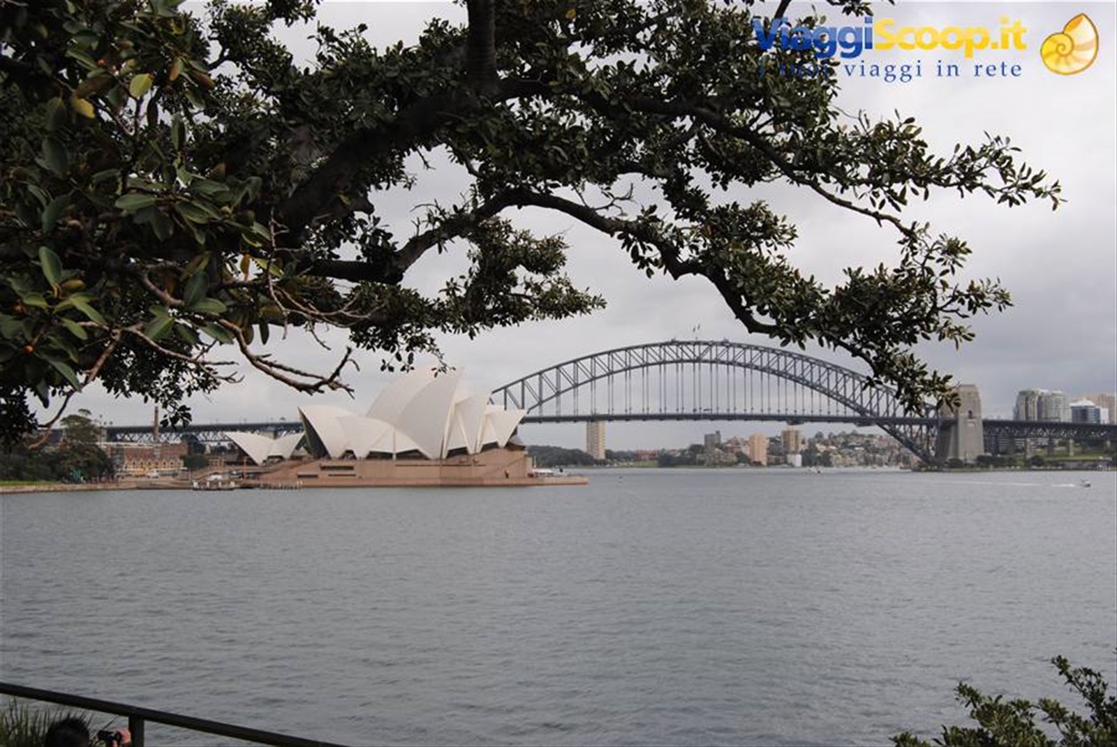 Foto di viaggio in AUSTRALIA