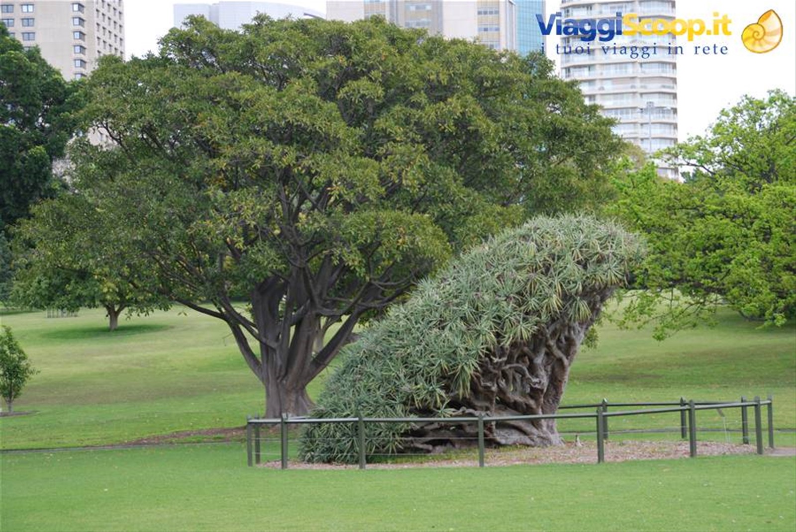 Foto di viaggio in AUSTRALIA