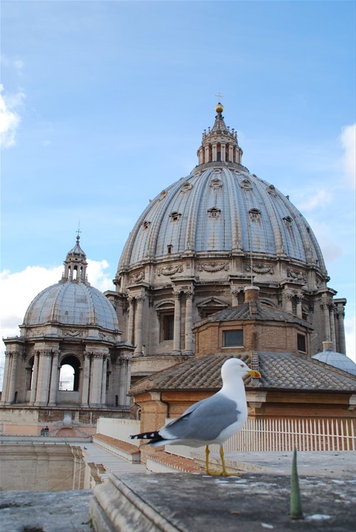 Il Cuppolone