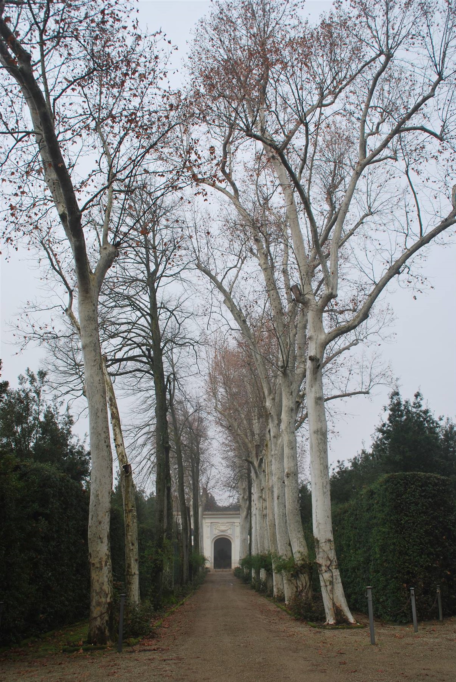 I giardini dei Boboli