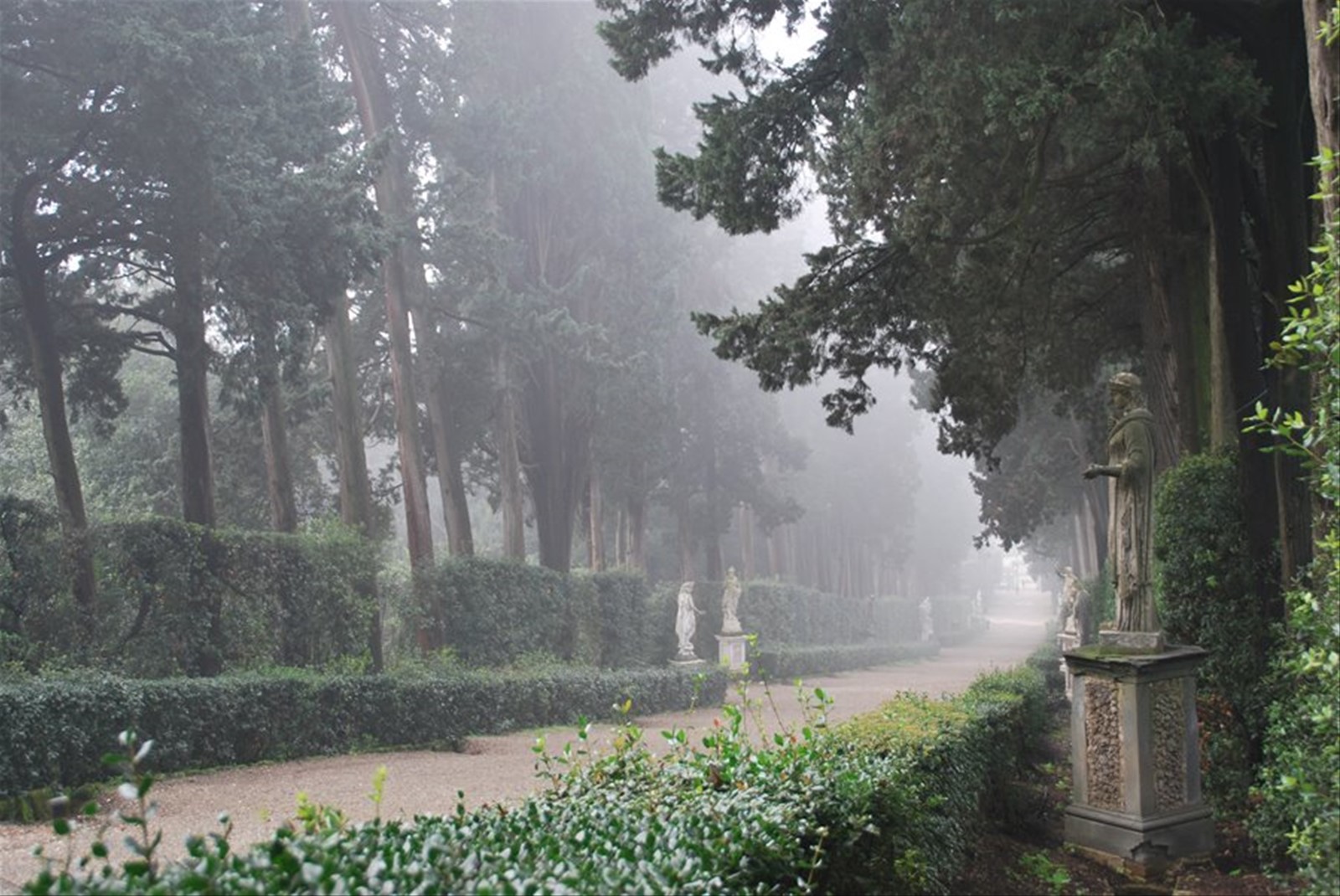 I giardini dei Boboli