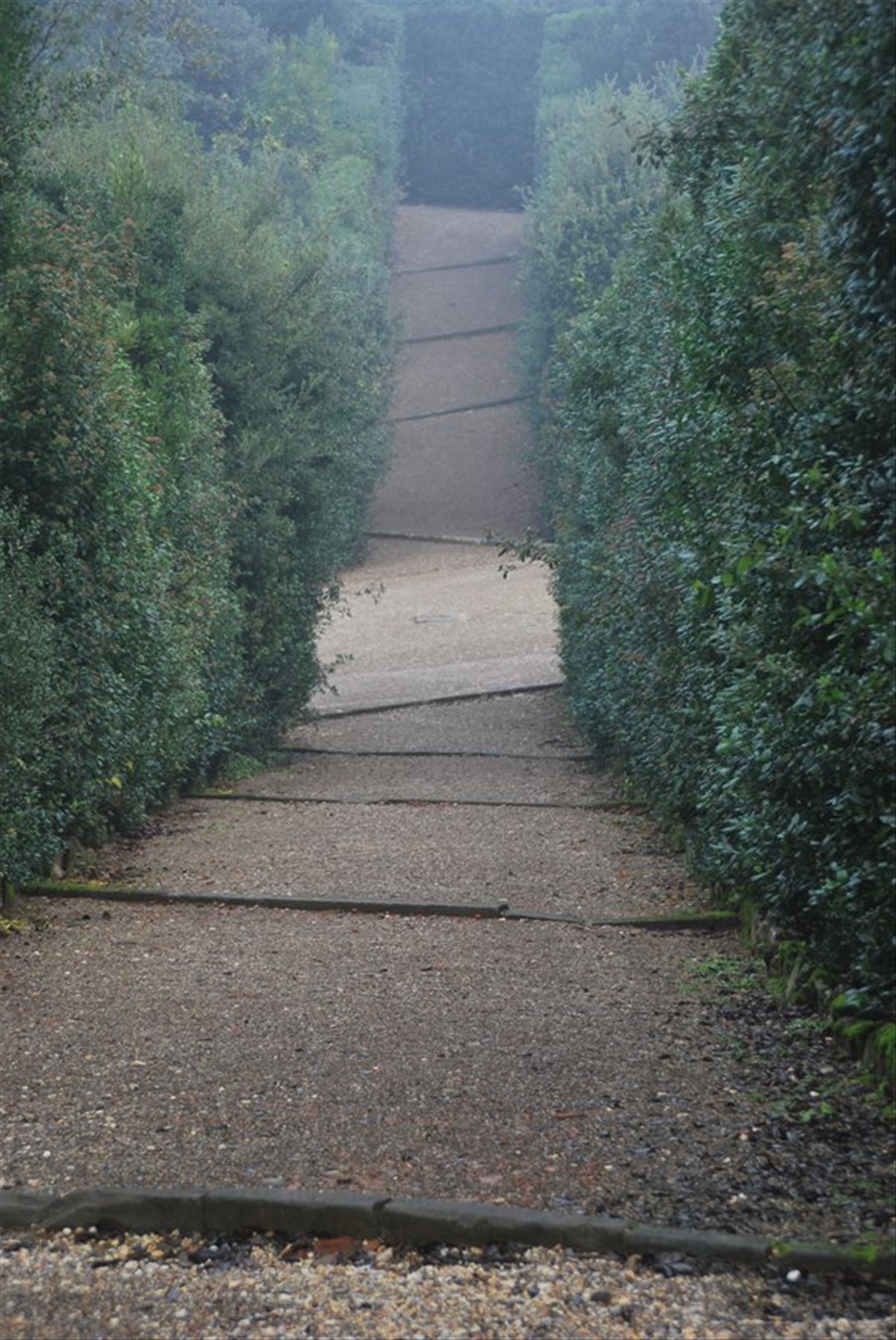 I giardini dei Boboli