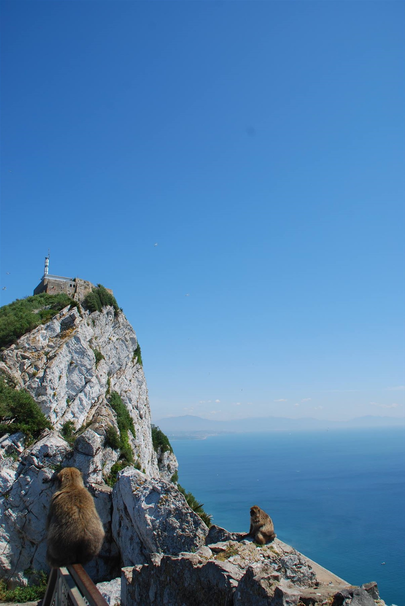 Foto di viaggio in GIBILTERRA