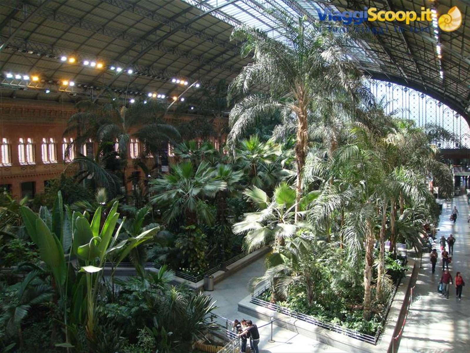 Il giardino tropicale all'interno della Estacion de Atocha