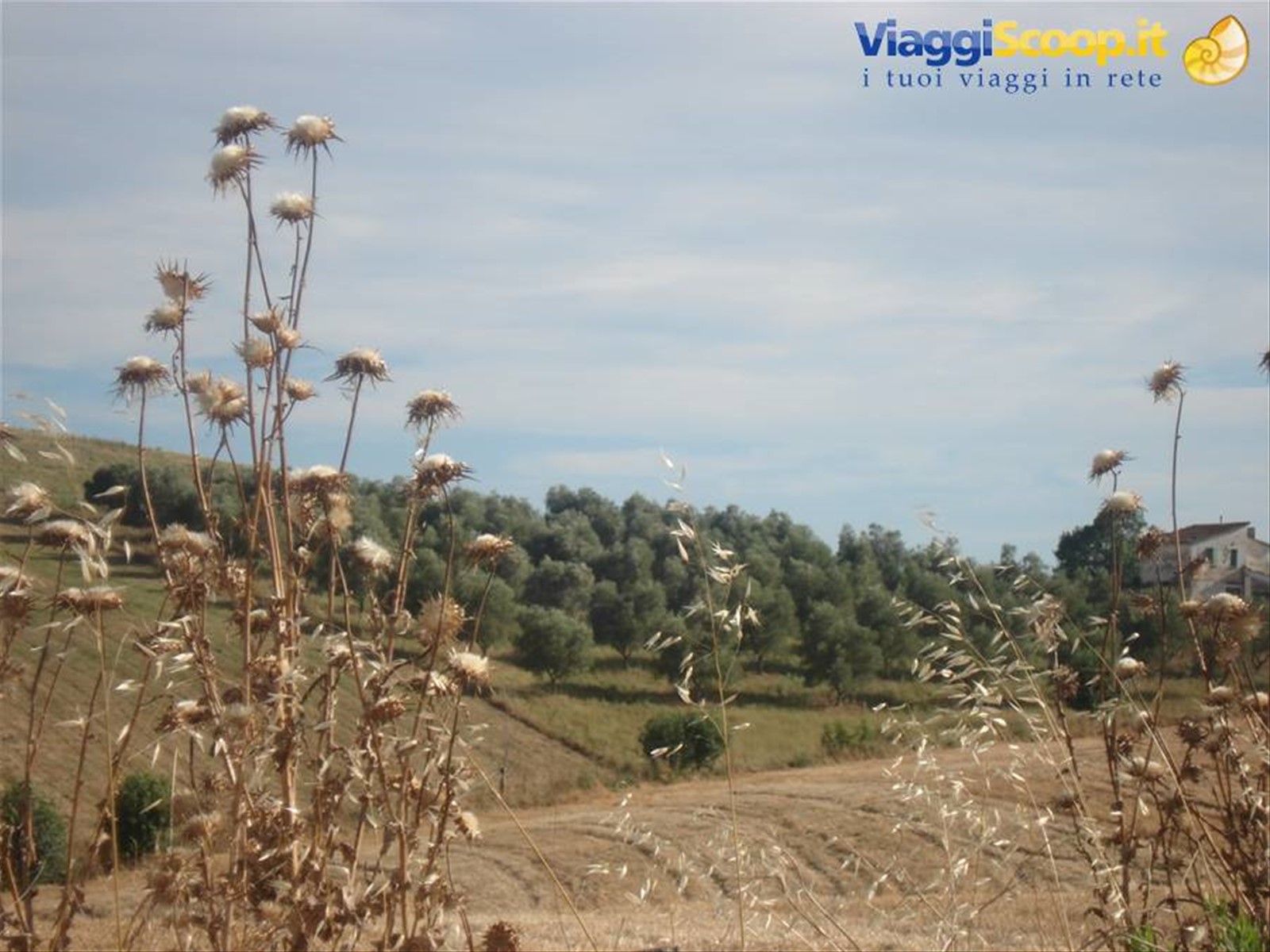 Spettacolari scorci della campagna toscana