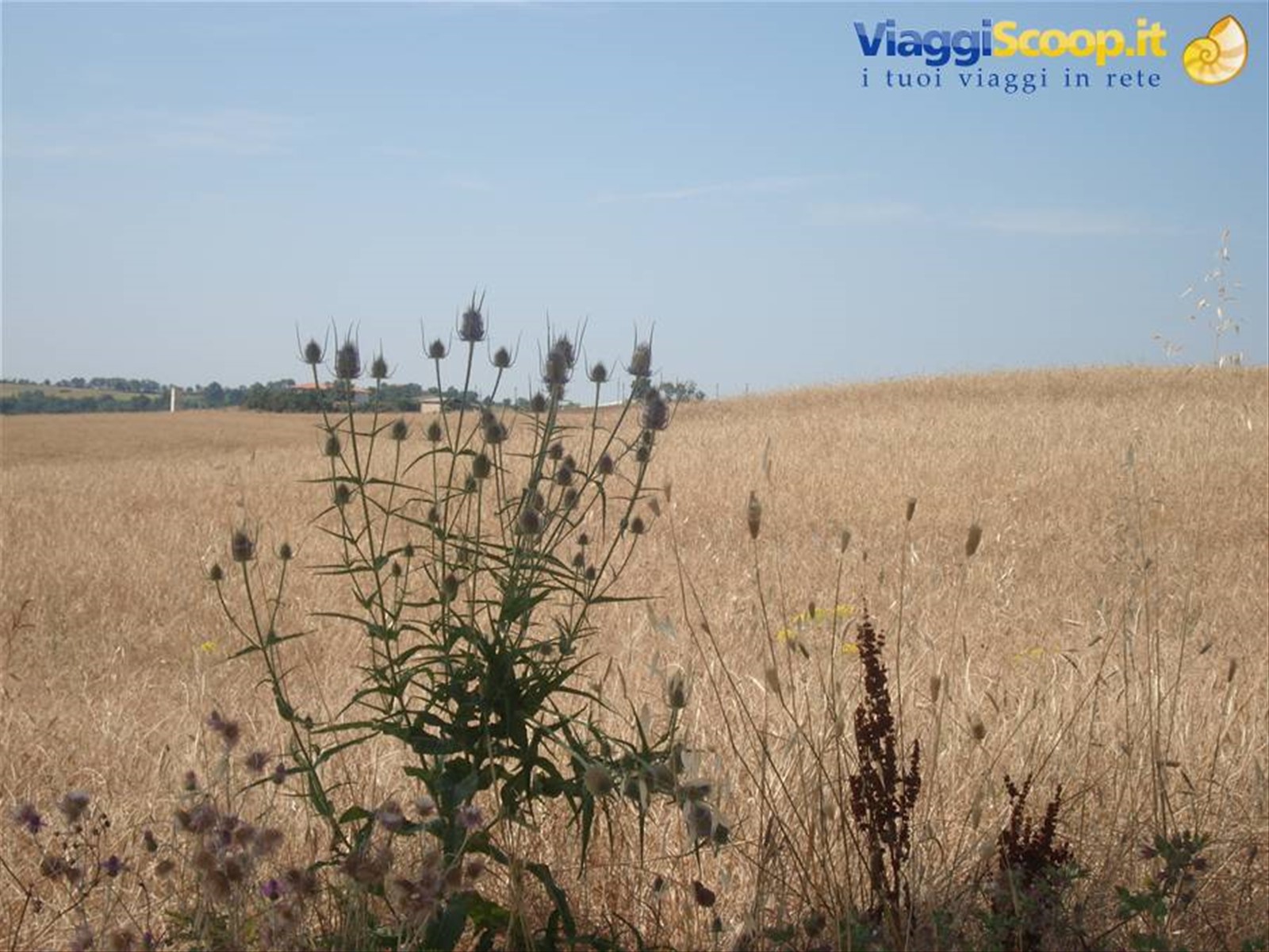 Spettacolari scorci della campagna toscana