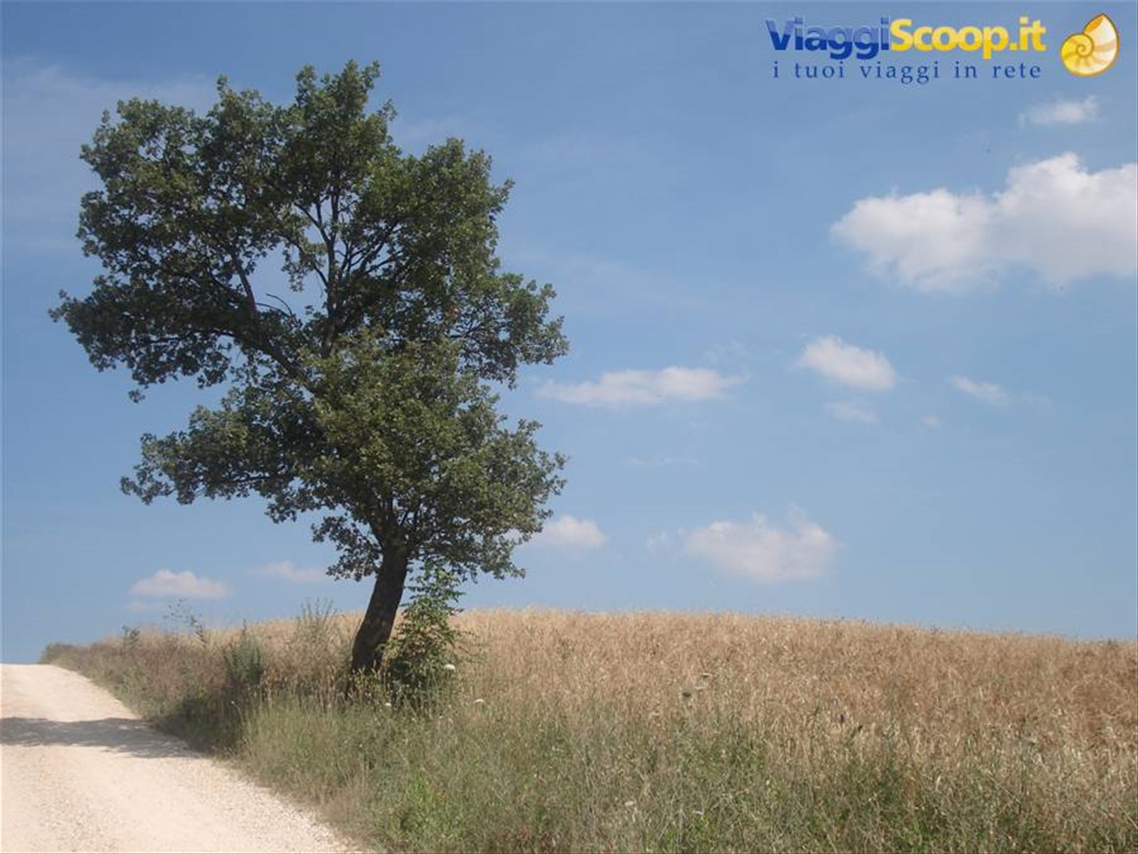 Spettacolari scorci della campagna toscana