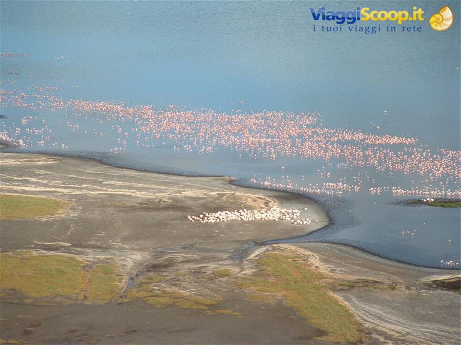 Lake Nakuru