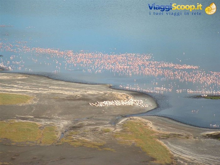 Lake Nakuru