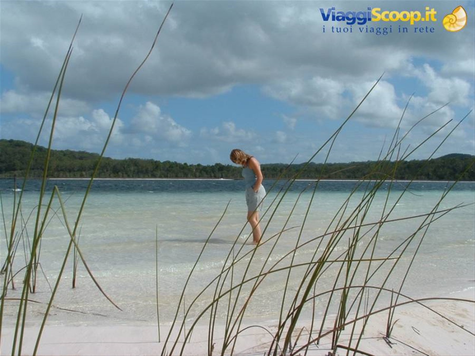 Fraser Island 2