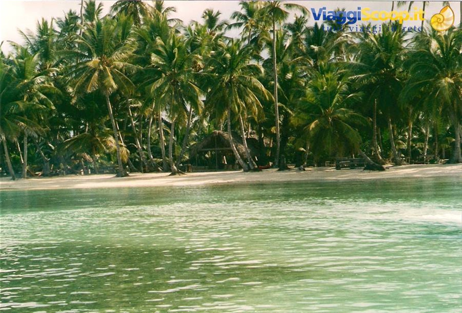 SAONA