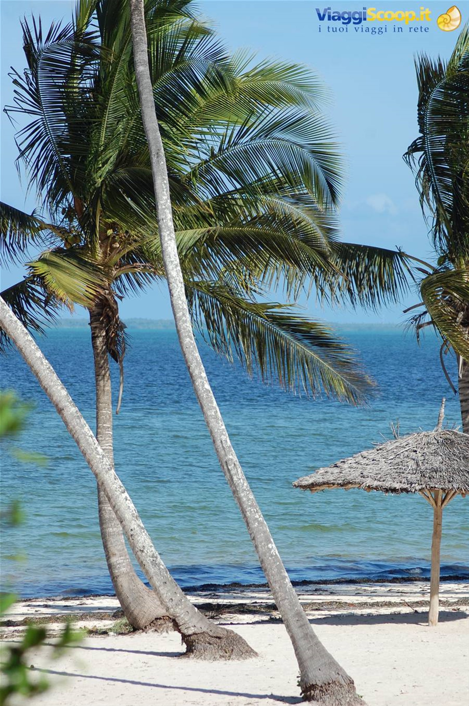 ZANZIBAR UNA STRETTA AL CUORE