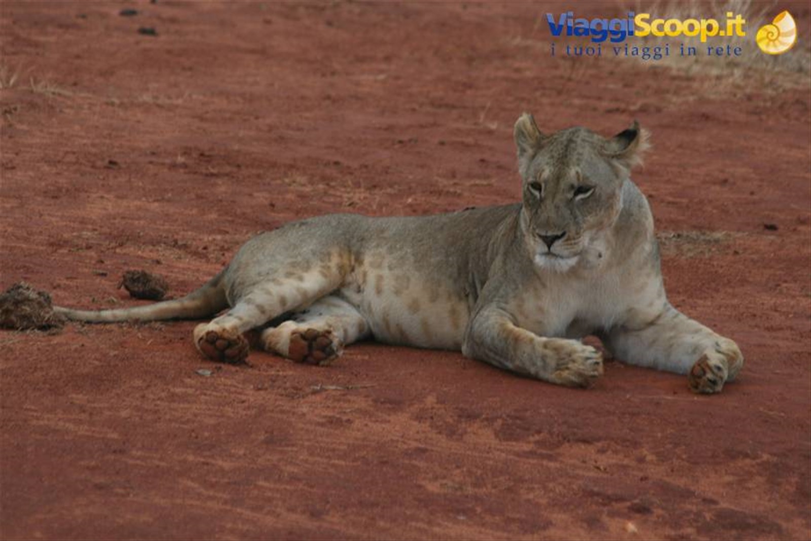 Foto di viaggio in KENYA