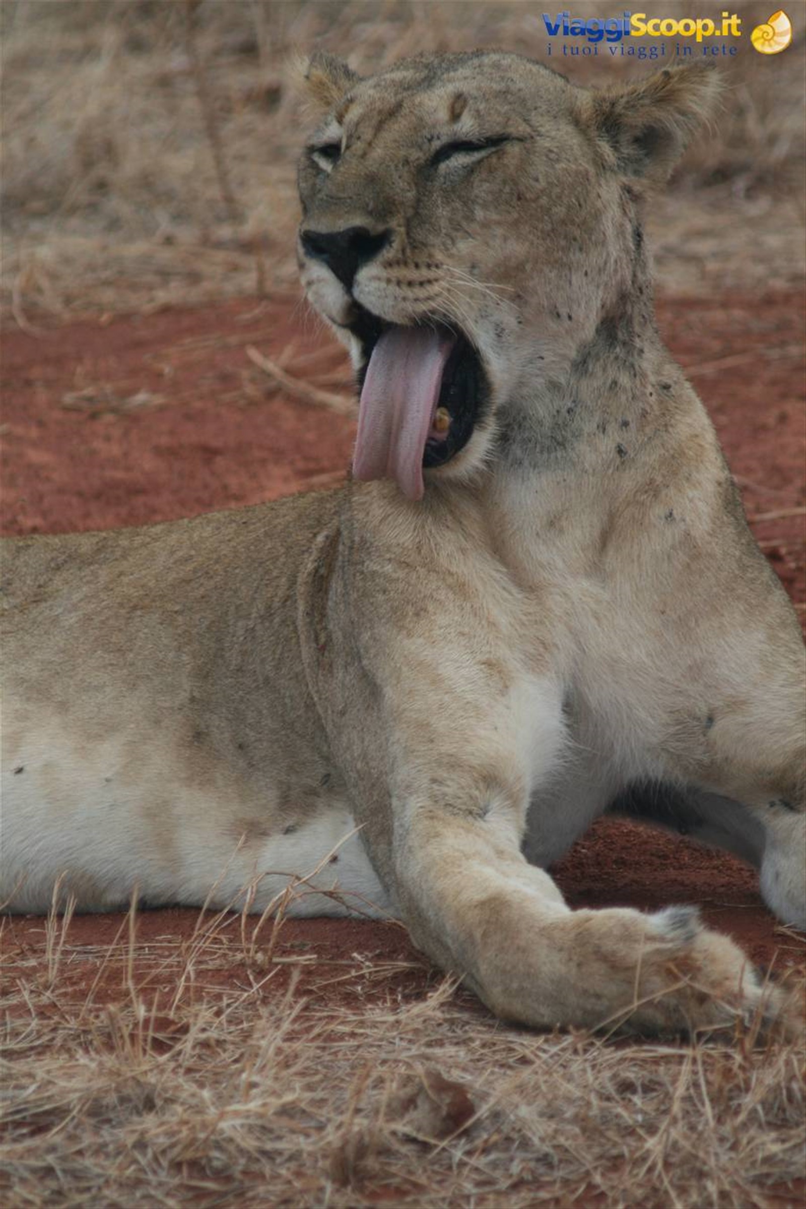 Foto di viaggio in KENYA