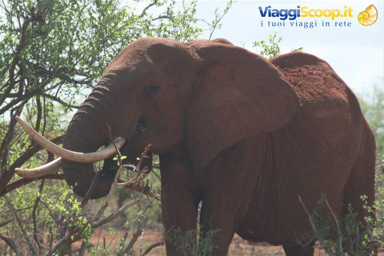 Foto di viaggio in KENYA