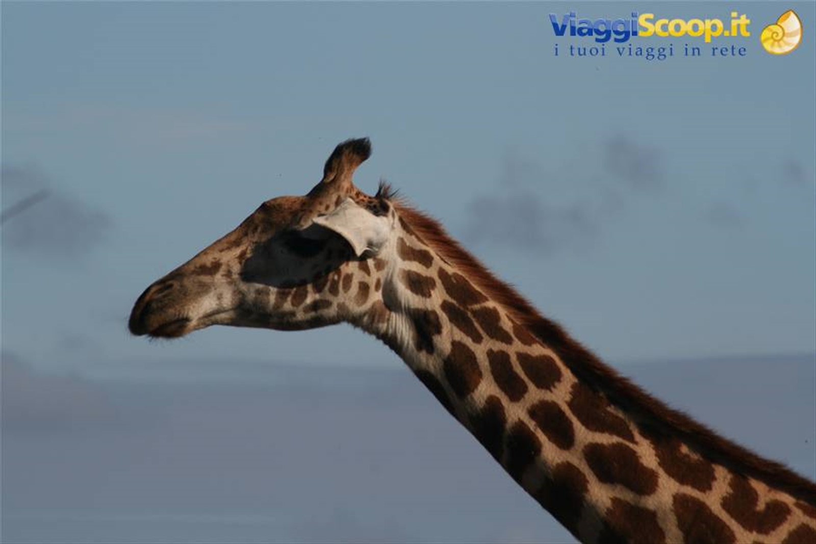 Foto di viaggio in KENYA