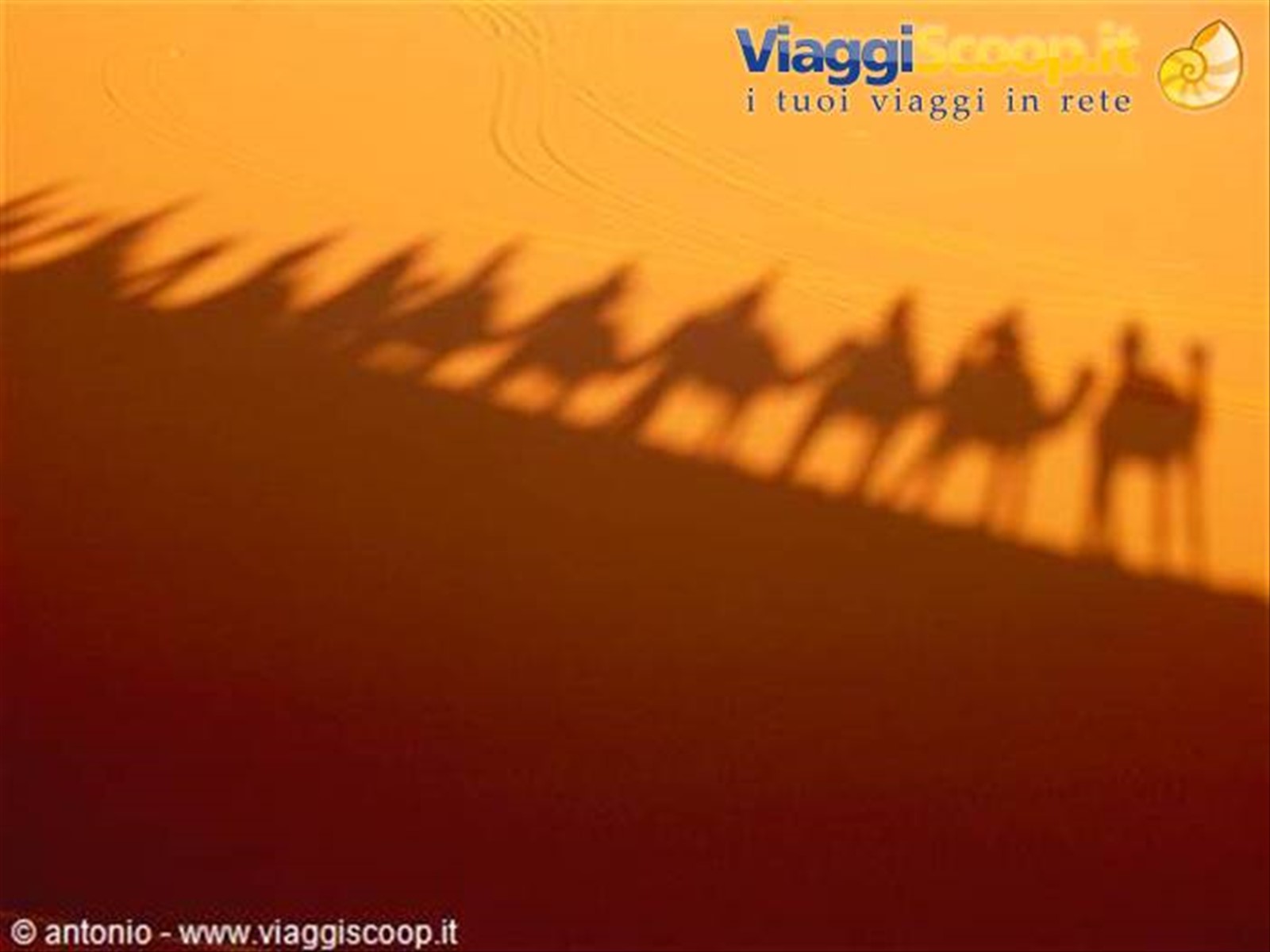 ombre nel deserto