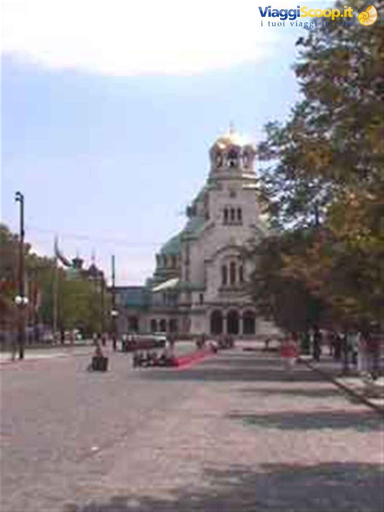 sofia