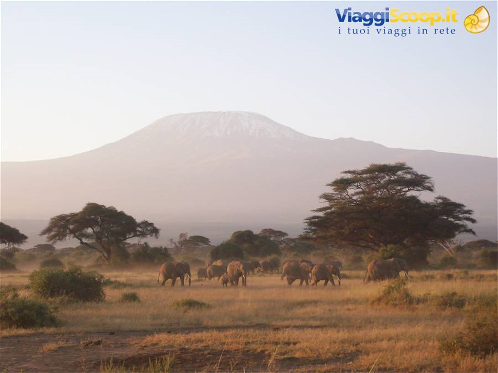 Amboseli(Kenya) e Kilimangiaro(Tanzania)