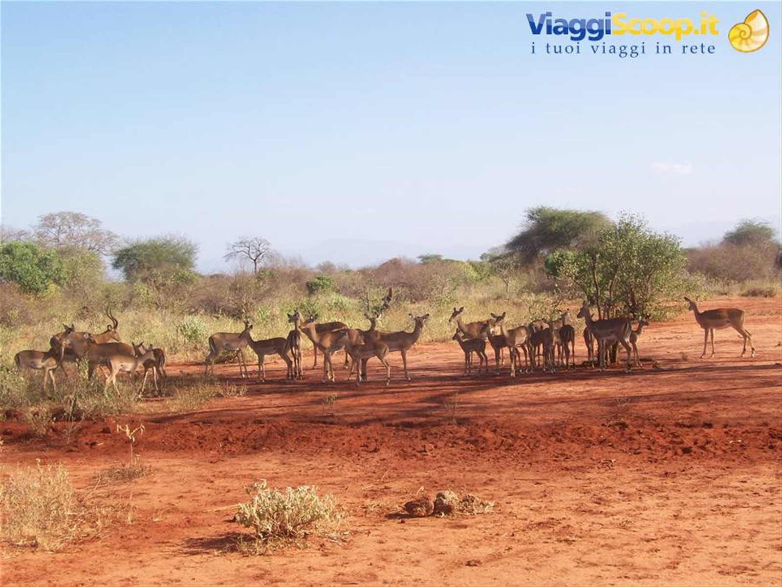 Tsavo West