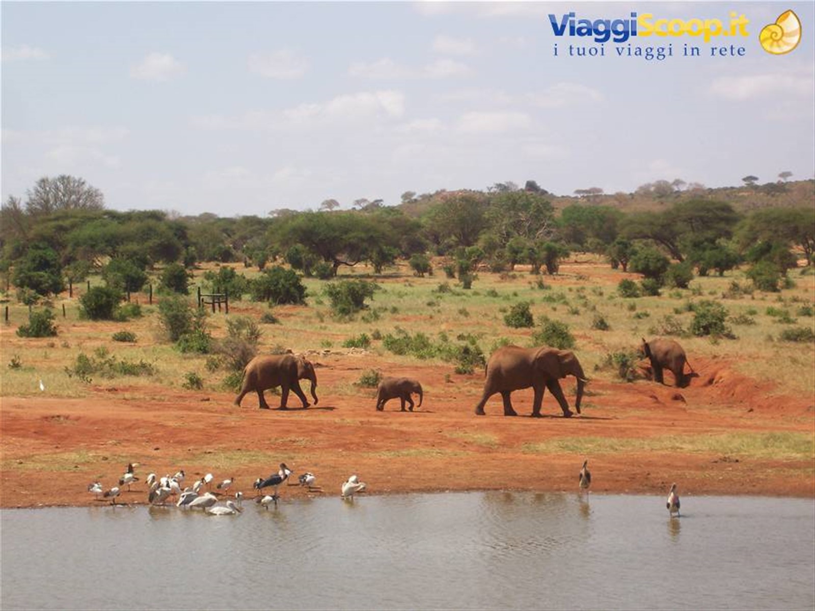Tsavo Est