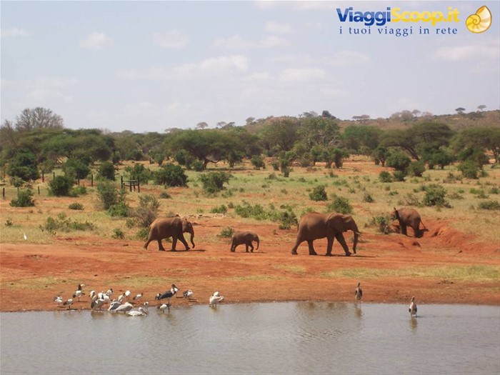 Tsavo Est