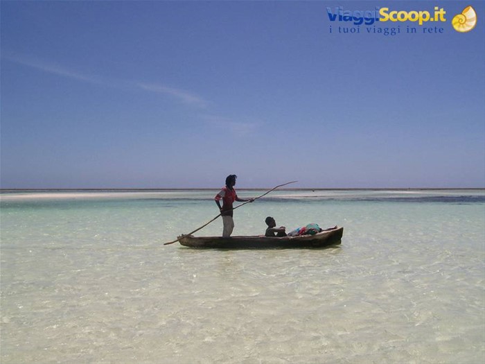 mare
