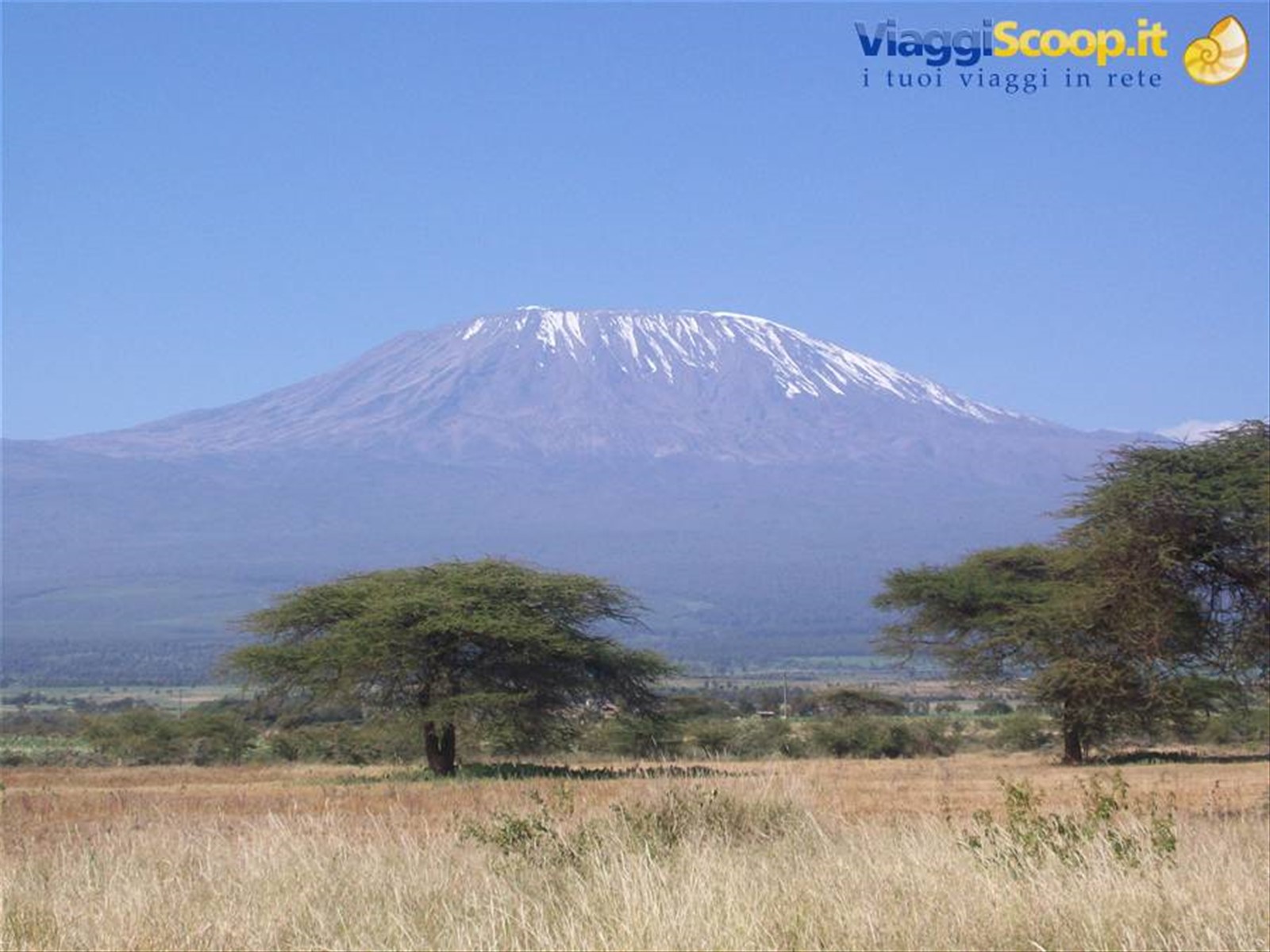 Kilimangiaro(Tanzania) dal Kenya