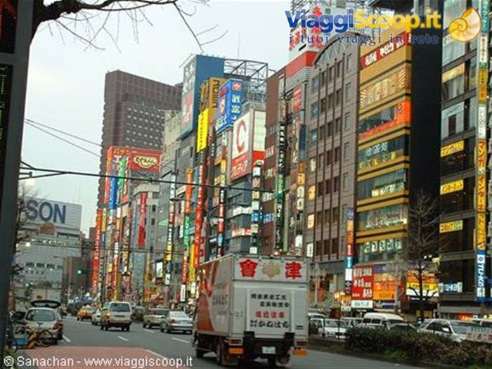 le luci di shinjuku cominciano ad accendersi...