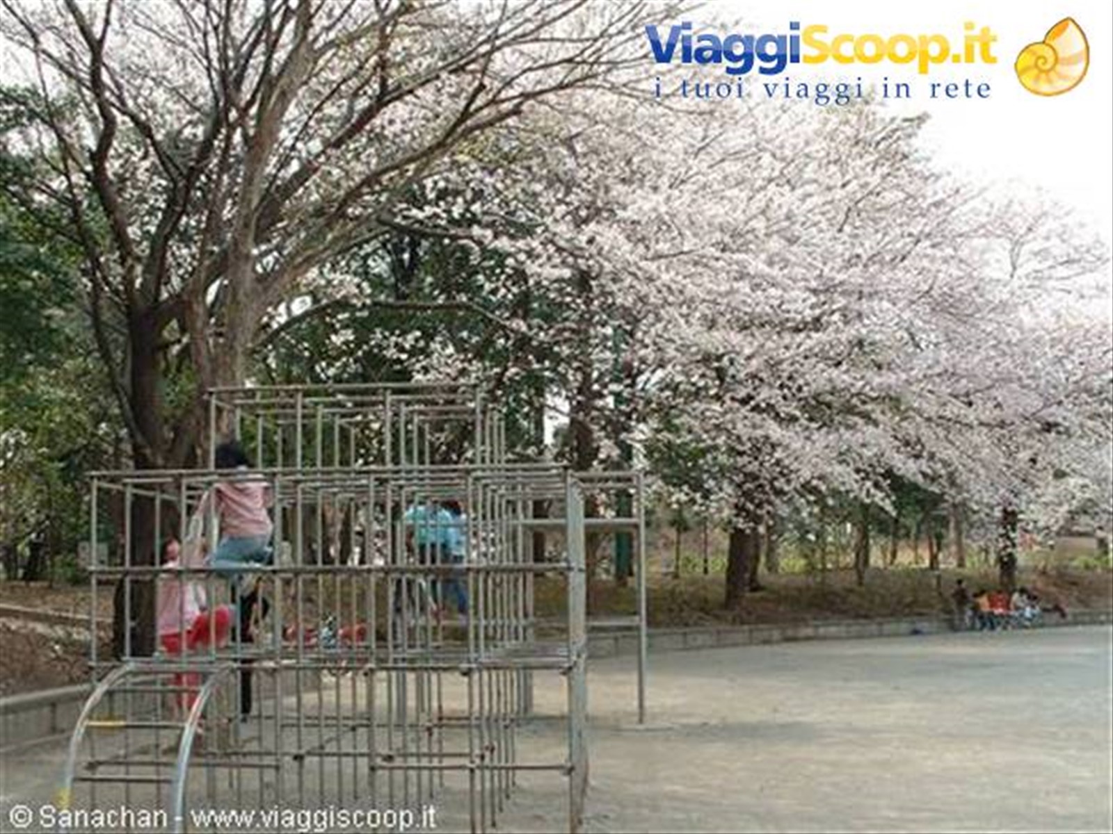 bimbi nel parco